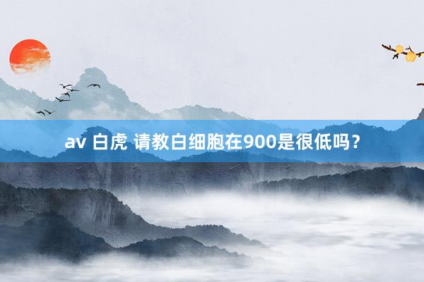 av 白虎 请教白细胞在900是很低吗?