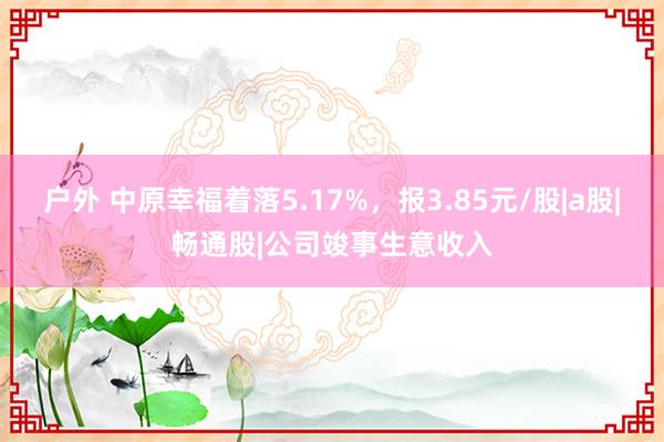 户外 中原幸福着落5.17%，报3.85元/股|a股|畅通股|公司竣事生意收入