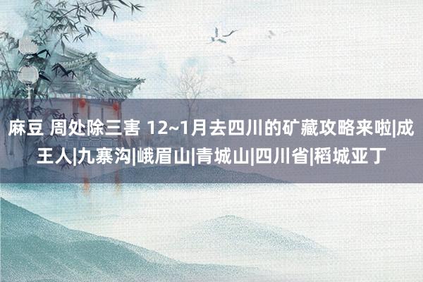 麻豆 周处除三害 12~1月去四川的矿藏攻略来啦|成王人|九寨沟|峨眉山|青城山|四川省|稻城亚丁