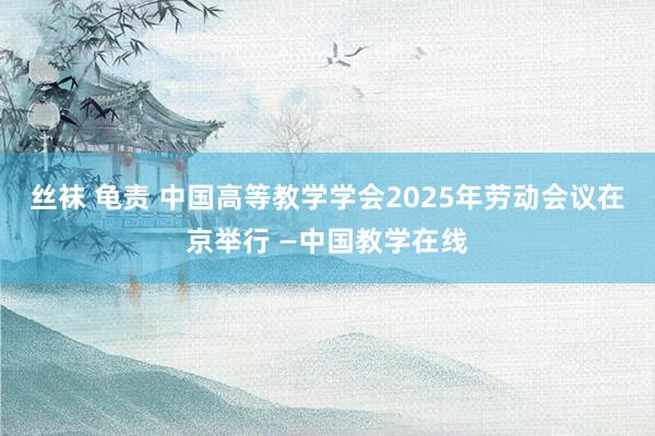 丝袜 龟责 中国高等教学学会2025年劳动会议在京举行 —中国教学在线