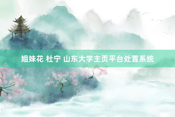 姐妹花 杜宁 山东大学主页平台处置系统