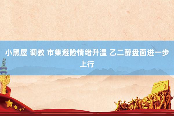 小黑屋 调教 市集避险情绪升温 乙二醇盘面进一步上行