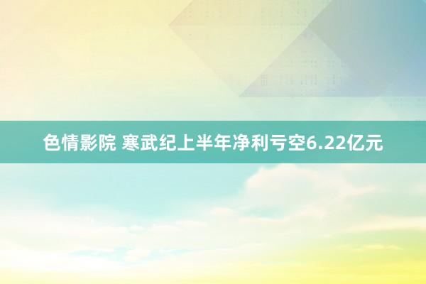 色情影院 寒武纪上半年净利亏空6.22亿元