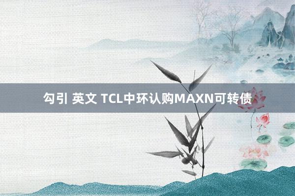 勾引 英文 TCL中环认购MAXN可转债