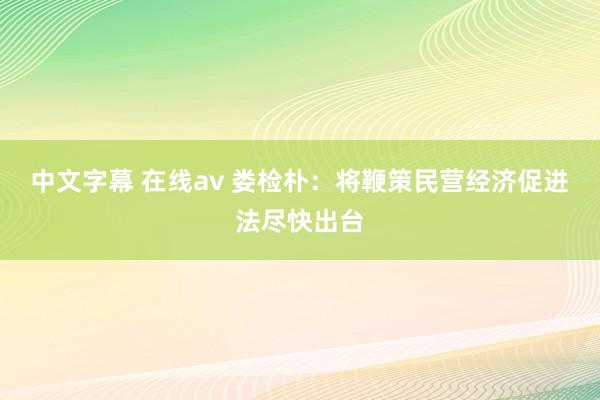中文字幕 在线av 娄检朴：将鞭策民营经济促进法尽快出台