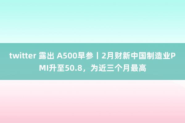 twitter 露出 A500早参丨2月财新中国制造业PMI升至50.8，为近三个月最高